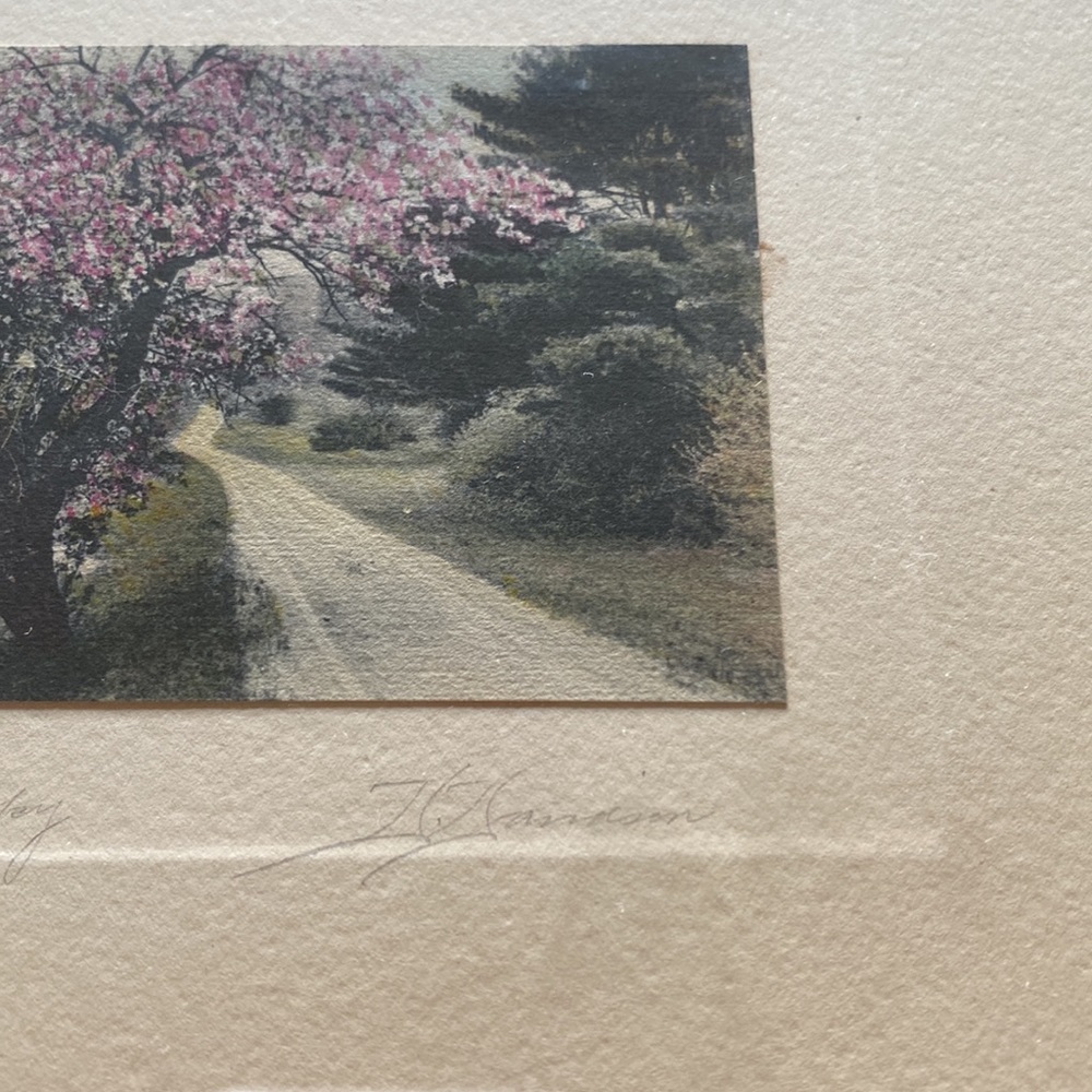 Vintage David Davidson signed “Blossom Canopy”framed & matted hand colored photo - Picture 3 of 8